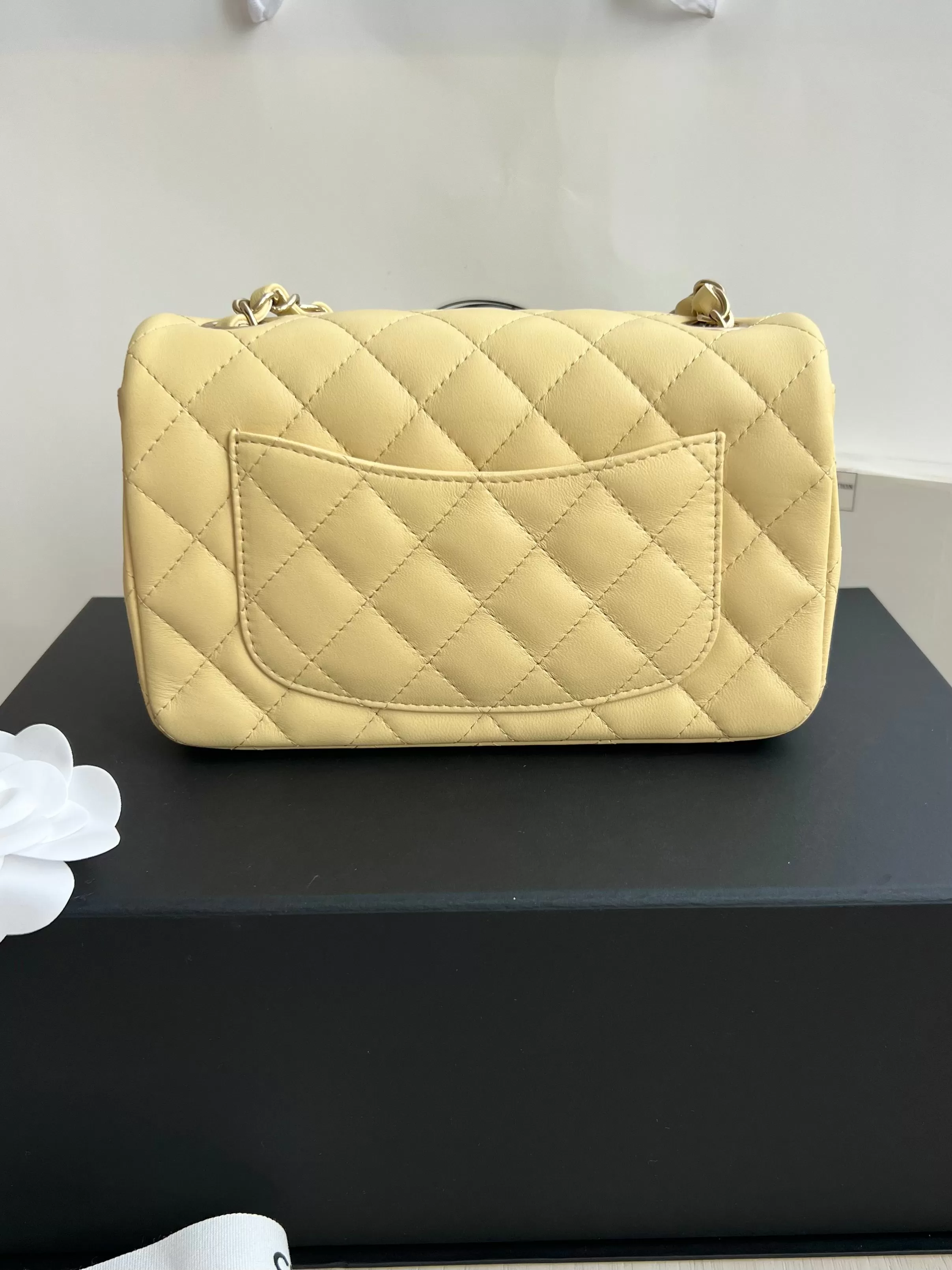 Chanel Classic Flap Bag