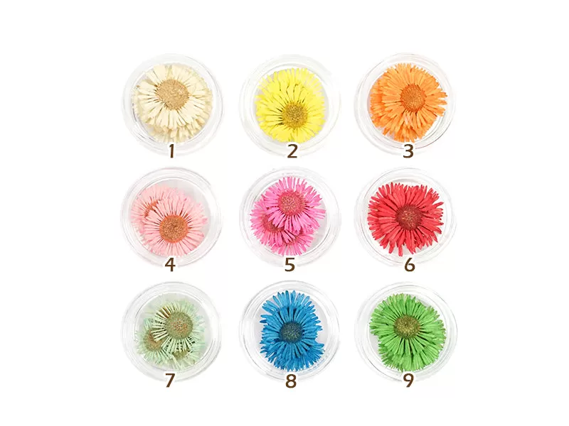 Fleabane Daisy Flower Nail Art Decoration