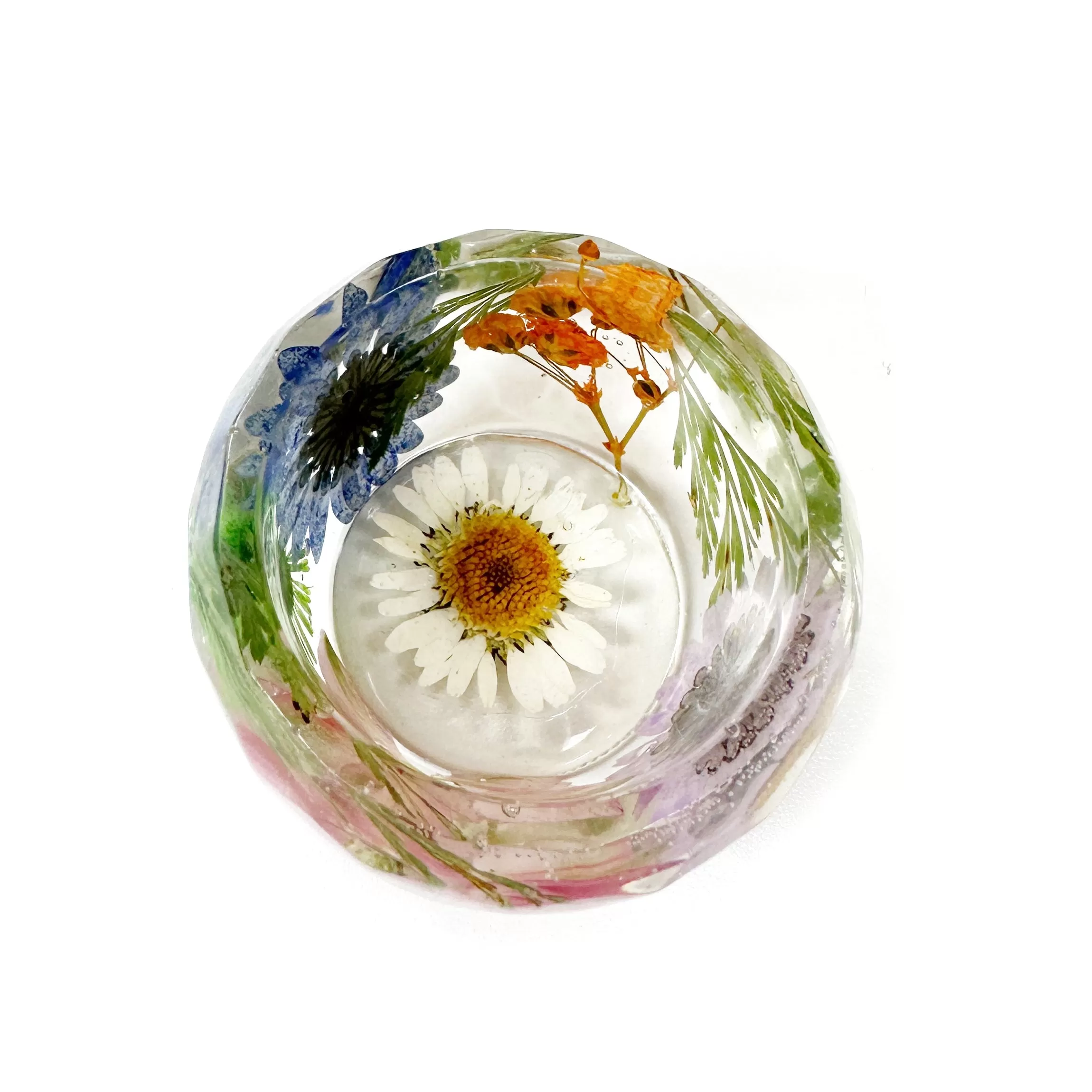 Pressed Flower Holder   Air Plant - BG 139