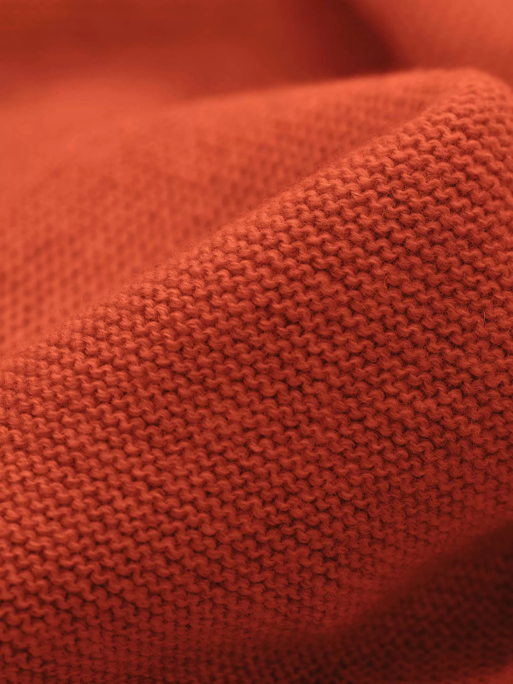 The Crewneck - Burnt Orange