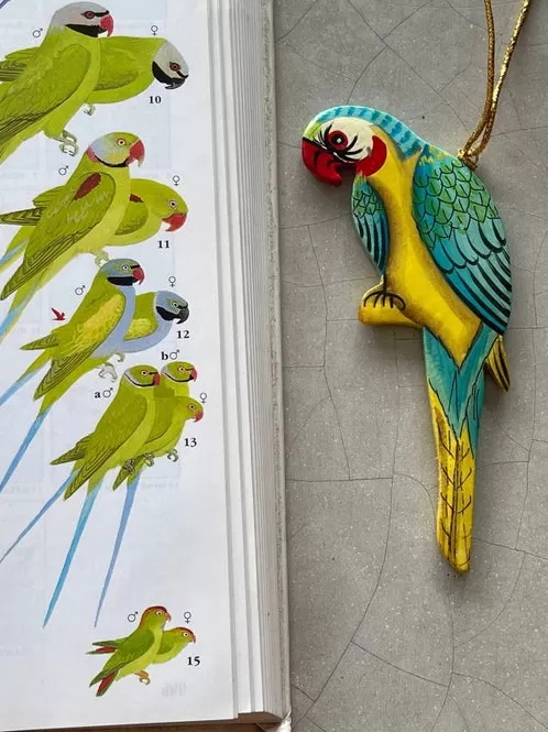 Tropical Bird Ornaments